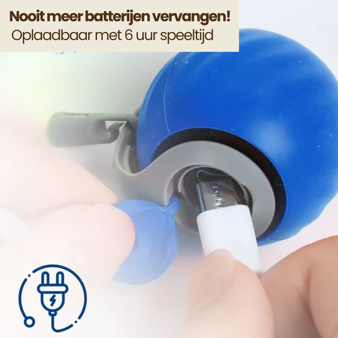 Katten Speelbal