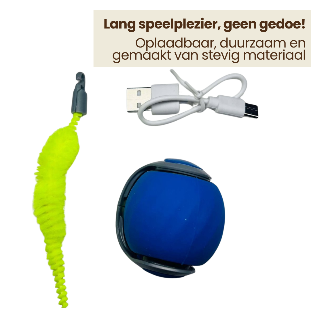 Katten Speelbal