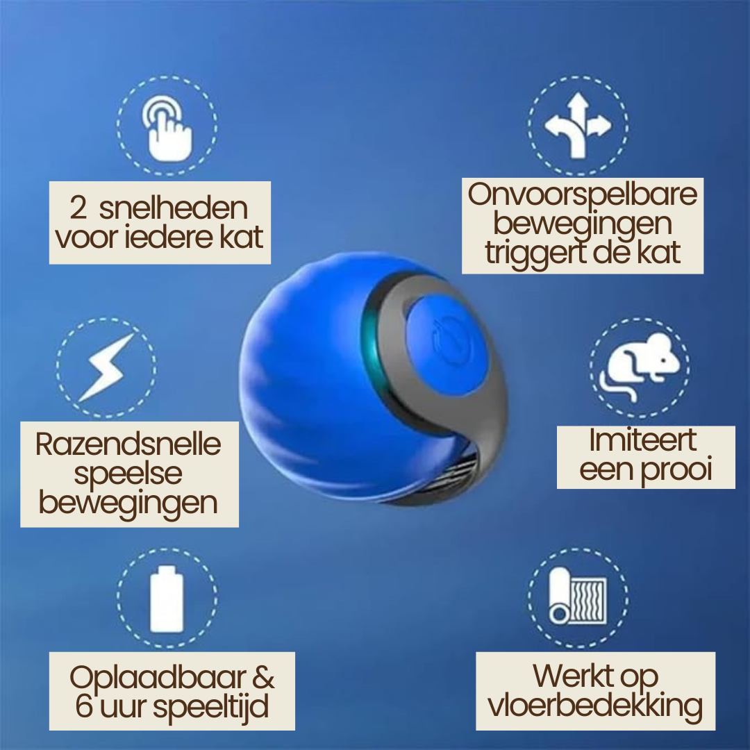 Katten Speelbal