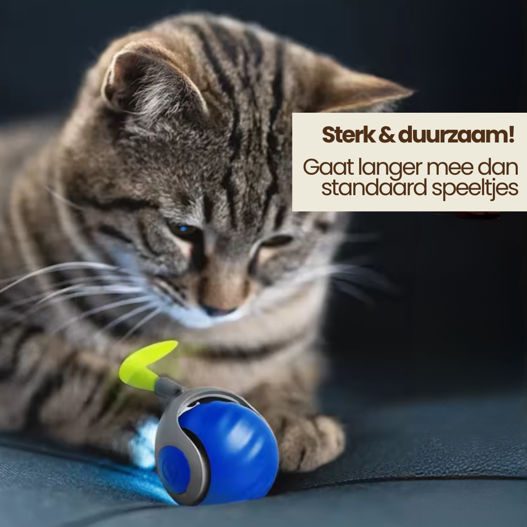 Katten Speelbal