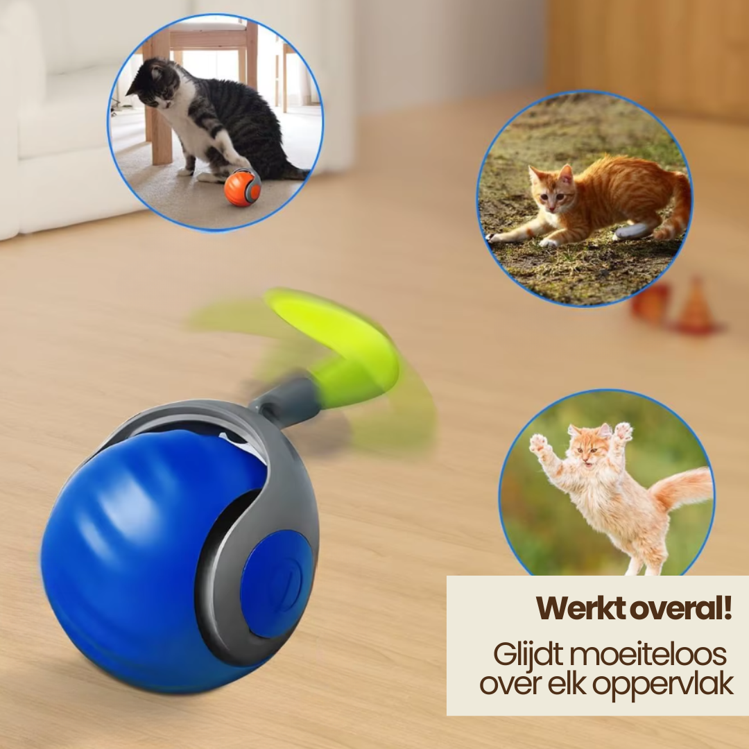 Katten Speelbal