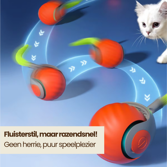 Katten Speelbal