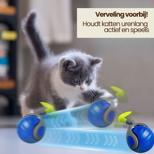 Katten Speelbal