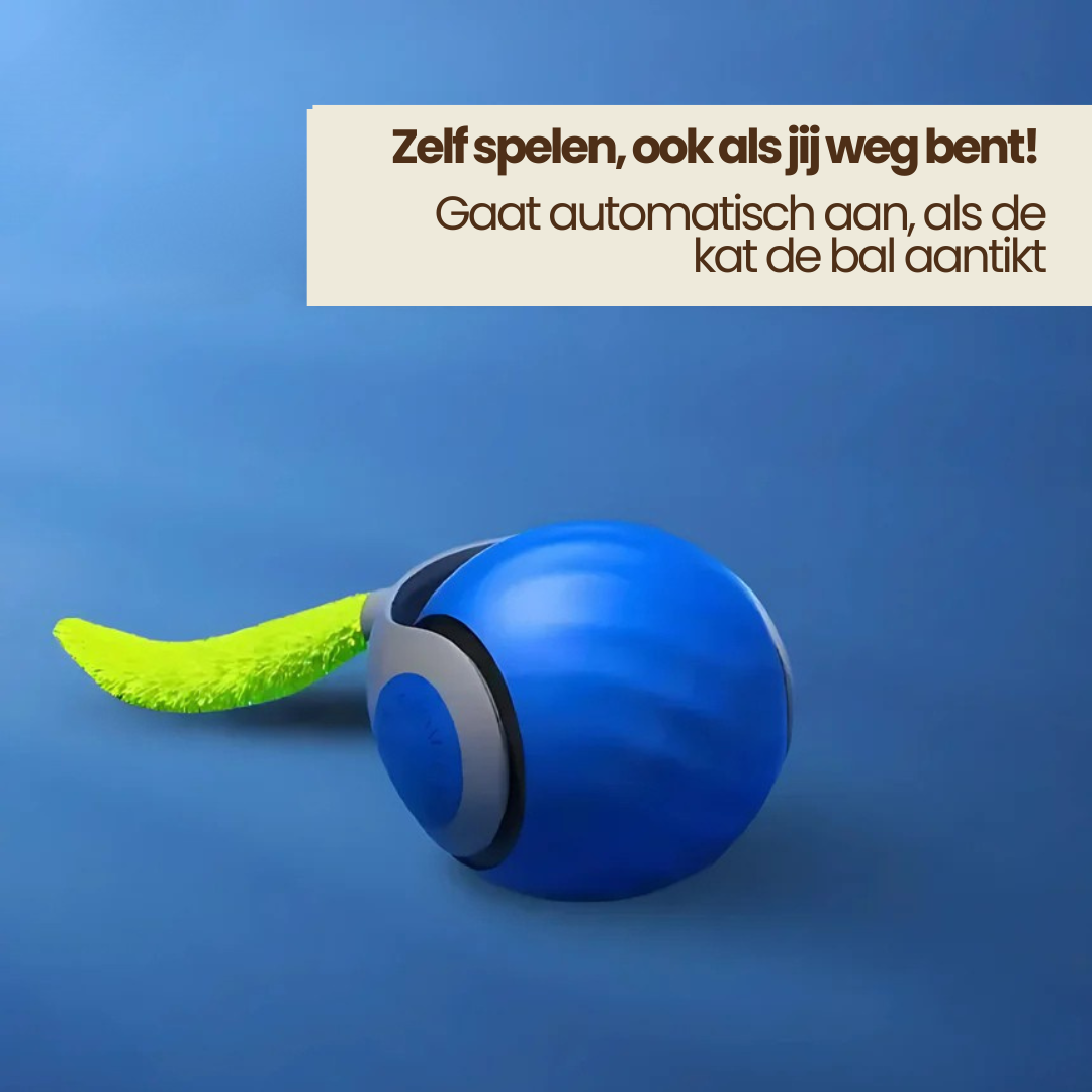 Katten Speelbal